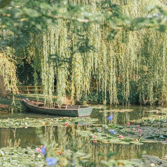 Help with Info please - Picture 1 of 1